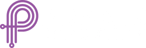 Praxis Data Security logo